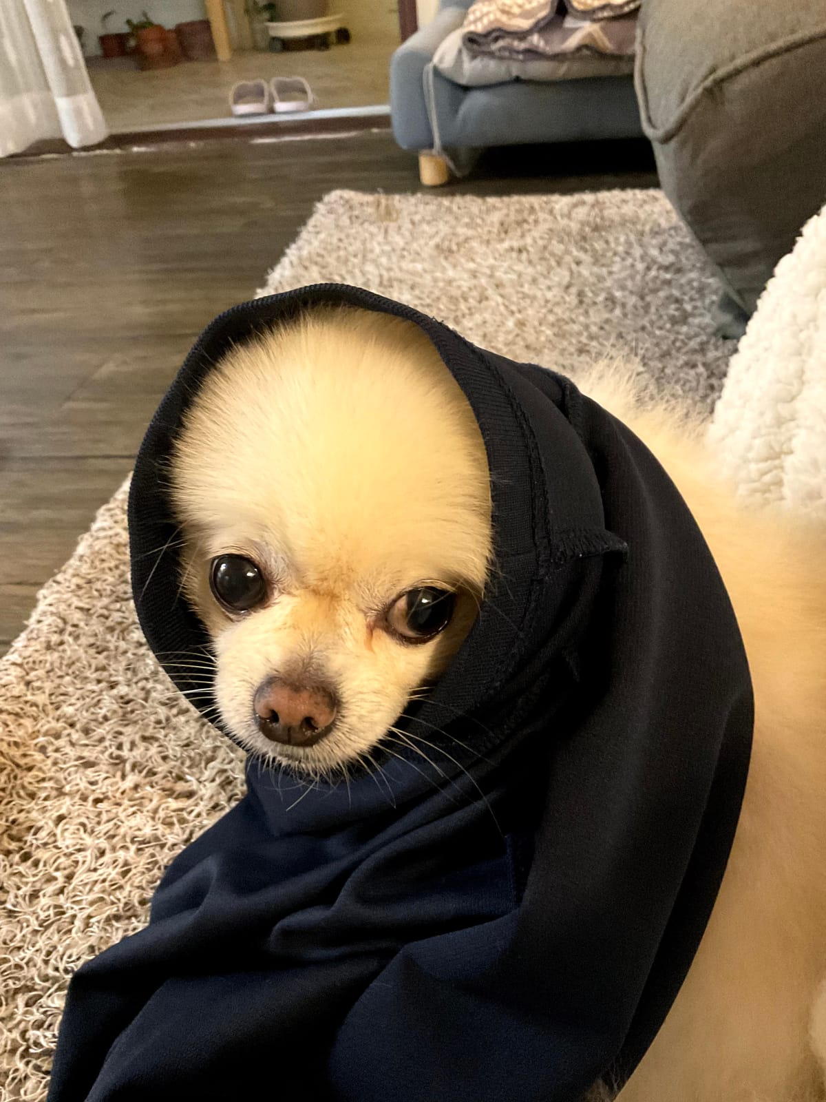 우주를 소개합니다.